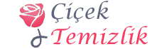 Beylikdüzü Temizlik Şirketleri